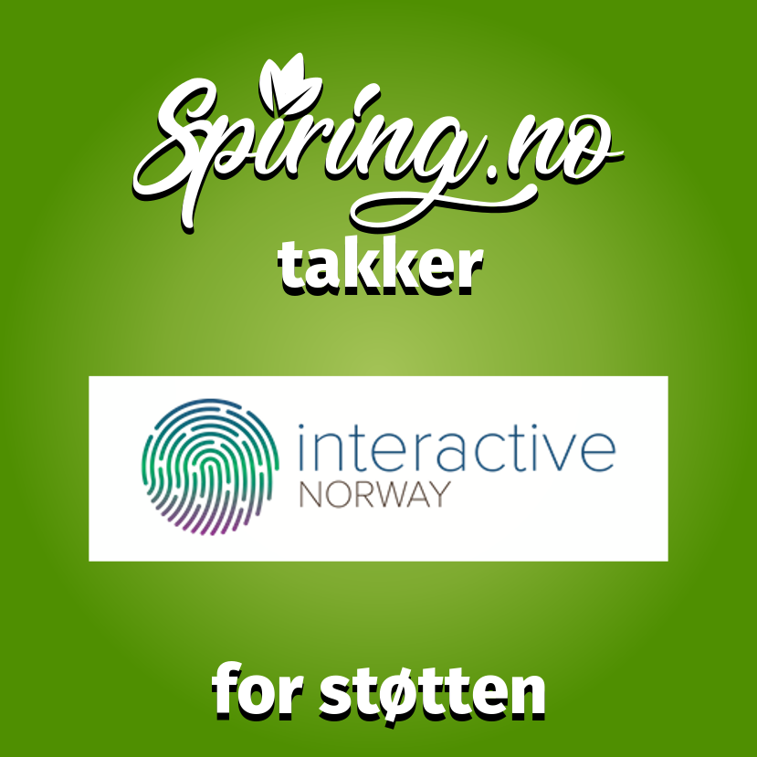 Spiring.no takker for støtten fra Interactive Norway